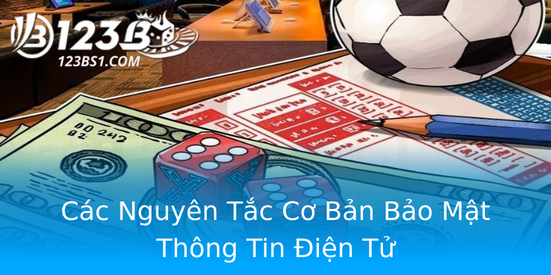 Các Nguyên Tắc Cơ Bản Bảo Mật Thông Tin Điện Tử Các Nguyên Tắc Cơ Bản Bảo Mật Thông Tin Điện Tử