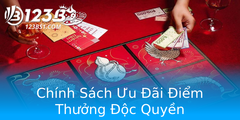 Chính Sách Ưu Đãi Điểm Thưởng Độc Quyền Chính Sách Ưu Đãi Điểm Thưởng Độc Quyền