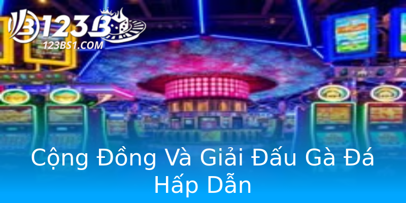 Cộng Đồng Và Giải Đấu Gà Đá Hấp Dẫn Cộng Đồng Và Giải Đấu Gà Đá Hấp Dẫn