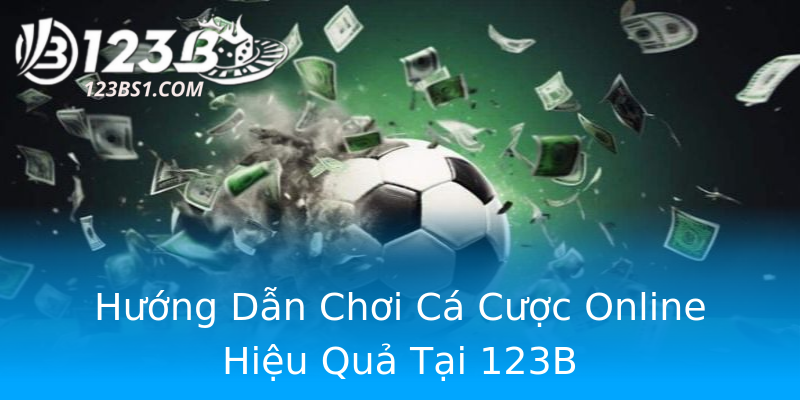 Hướng Dẫn Chơi Cá Cược Online Hiệu Quả Tại 123B Hướng Dẫn Chơi Cá Cược Online Hiệu Quả Tại 123B