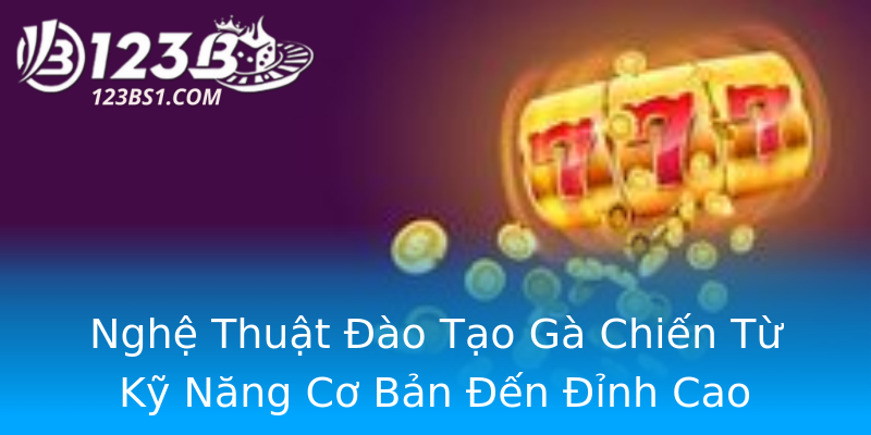 Nghệ Thuật Đào Tạo Gà Chiến Từ Kỹ Năng Cơ Bản Đến Đỉnh Cao Nghệ Thuật Đào Tạo Gà Chiến Từ Kỹ Năng Cơ Bản Đến Đỉnh Cao