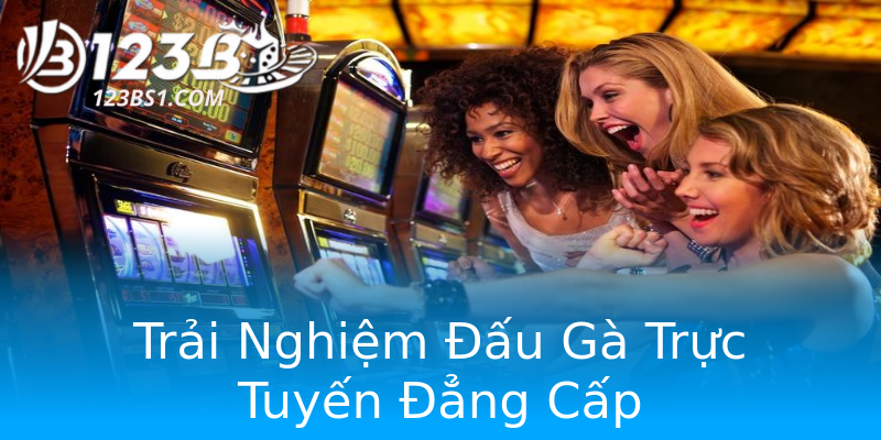 Trải Nghiệm Đấu Gà Trực Tuyến Đẳng Cấp Trải Nghiệm Đấu Gà Trực Tuyến Đẳng Cấp